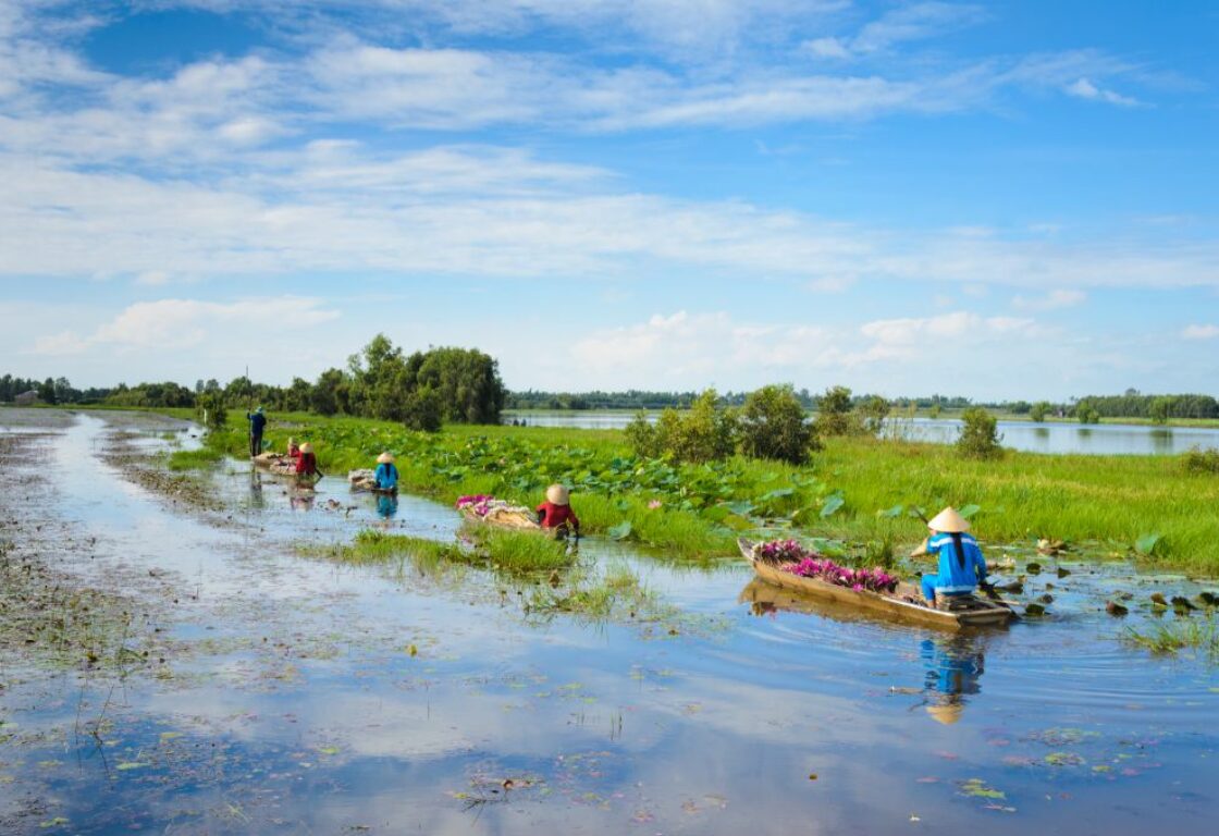 group of women paddling on small boats down the mekong delta collecting flowers in the boats