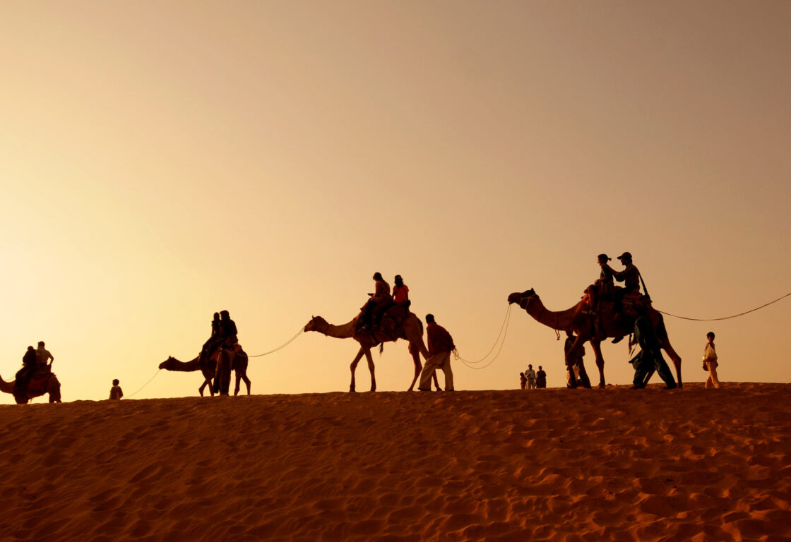 four camals with people on walking through along sand dunes