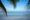 uninterrupted view of white perfect sand and still sea with the leaves of a palm tree hanging down