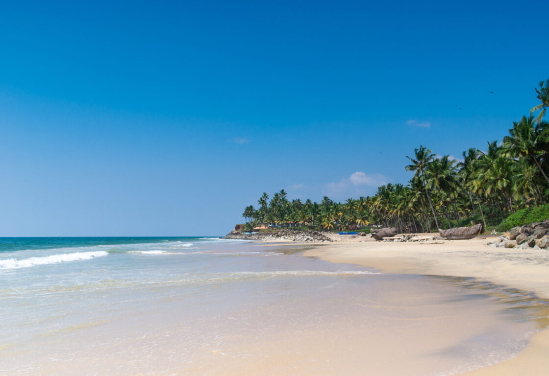 stretch of perfect white sand with waves rolling and a line of palm trees in kerala india