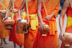 line of monks with bowls in luang prabang for the alms ceremony