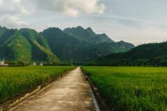 view of mai chau countryside with path running through the middle
