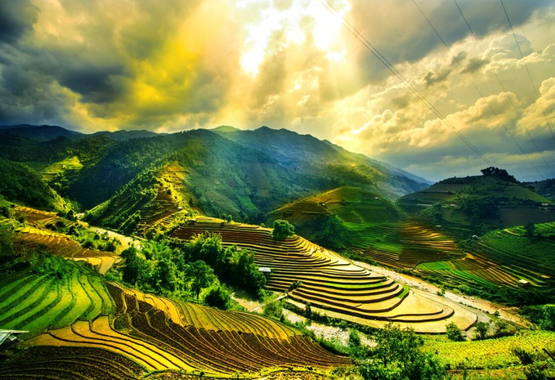rolling rice paddies in sapa, vietnam