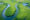 Aerial view of Amazon rainforest in Brazil, South America. Green forest. Bird's-eye view.