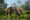Two elephants stand close together on a grassy riverbank, surrounded by lush green trees. The setting is serene and natural under a clear blue sky.