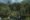 aerial overlooking individual lodges perched in the trees above a river -kitulgala eco-lodge