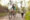 a lady cycling in Sri lankan countryside with a dog running next to her at Ellerton Sri Lanka