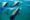 Pixaby Phi Dolphins