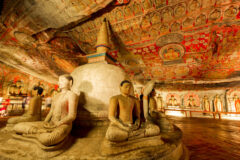 statues of budha on the display at Dambulla Caves in Sri Lanka