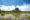 view of Sigiriya rock over a wetland grassland in the distance