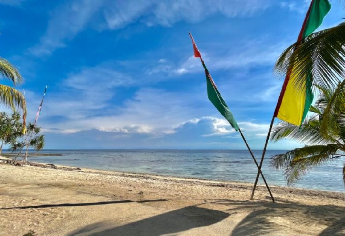 a stretch of sandy beach and on the right hand side two large yellow and green flags are standing in the sand and on either side of the image palm trees are hanging down