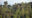 distance views of Ellerton Sri Lanka surrounded by woodland