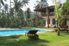 swimming pool by the main property at Jim's Farm Villa with palm trees