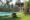 swimming pool by the main property at Jim's Farm Villa with palm trees