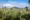 outdoor view across the area by Jim's Farm Villa