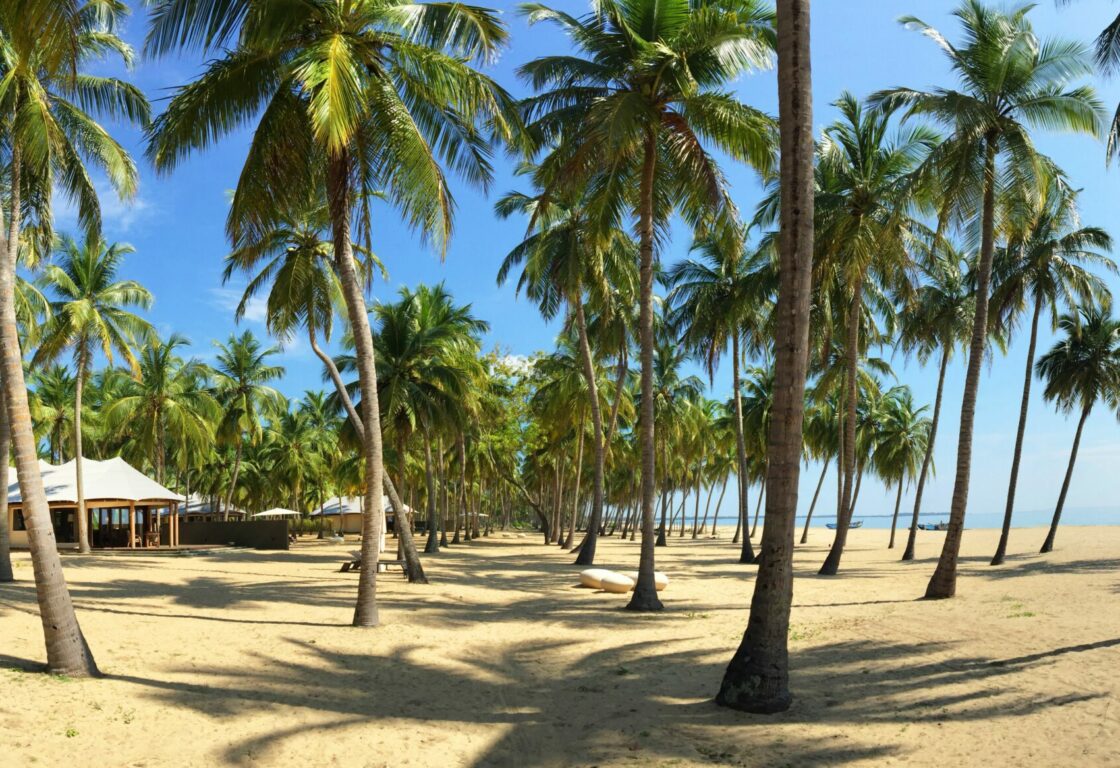 beach view from Karpaha Sands