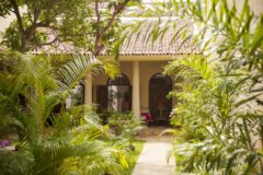 lush green entrance to Mango House hotel in Sri Lanka