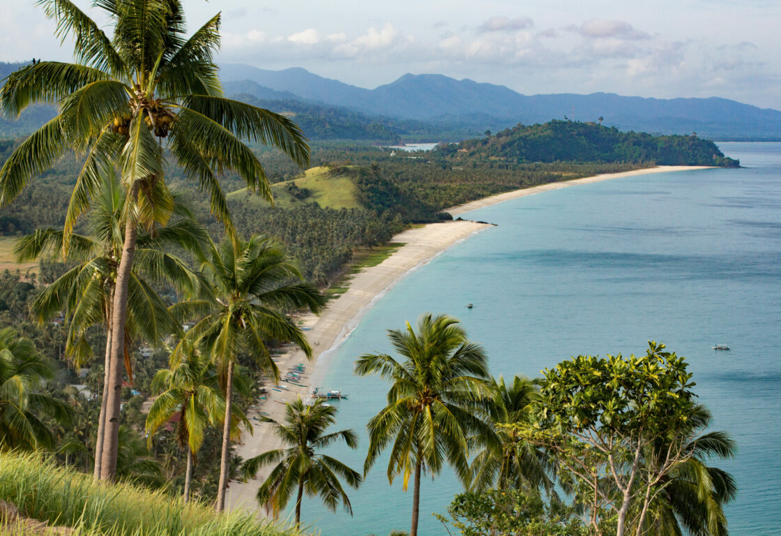 view from top of a hill looking down on a long stretch of white sand with hilly landscape behind and a calm sea on the left and on the hill where the picture is taken there are palm trees