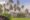 White villa located on the beach with lawns and palm trees all around