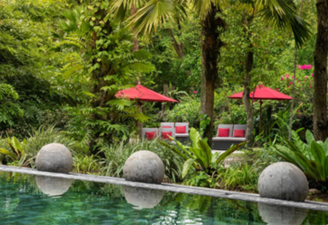 pool area with loungers and red umbrellas surrounded by lush green area and palm trees in Negombo, sri lanka
