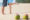 Two,Coconuts,On,The,Beach,With,Couple,On,The,Background.