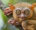 A small tarsier clinging to a tree branch with its long fingers, wide amber eyes staring directly at the camera, and small ears perked against a backdrop of green leaves