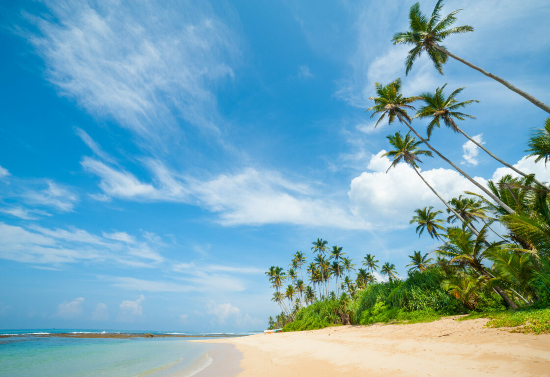 beach stretching along the coastline with palm trees