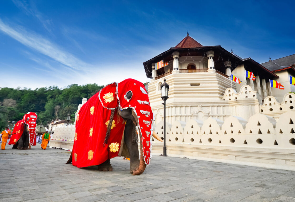 Kandy white temple with a red elephant masque standing in front of it