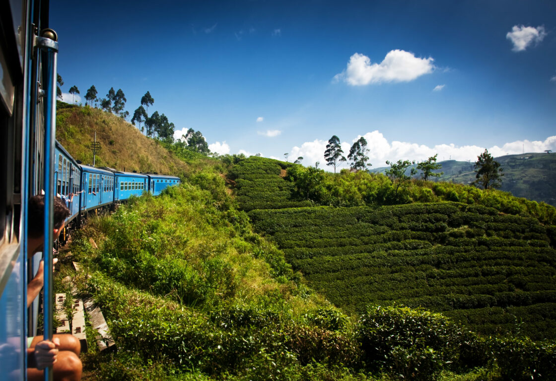 picture of a scenic sri lankan train riding through tea hills