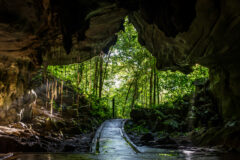 Mulu Caves in Borneo