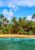 view from the ocean on the beach with palm trees - Sri Lanka