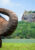 Elephant in Sigiriya lion rock fortress