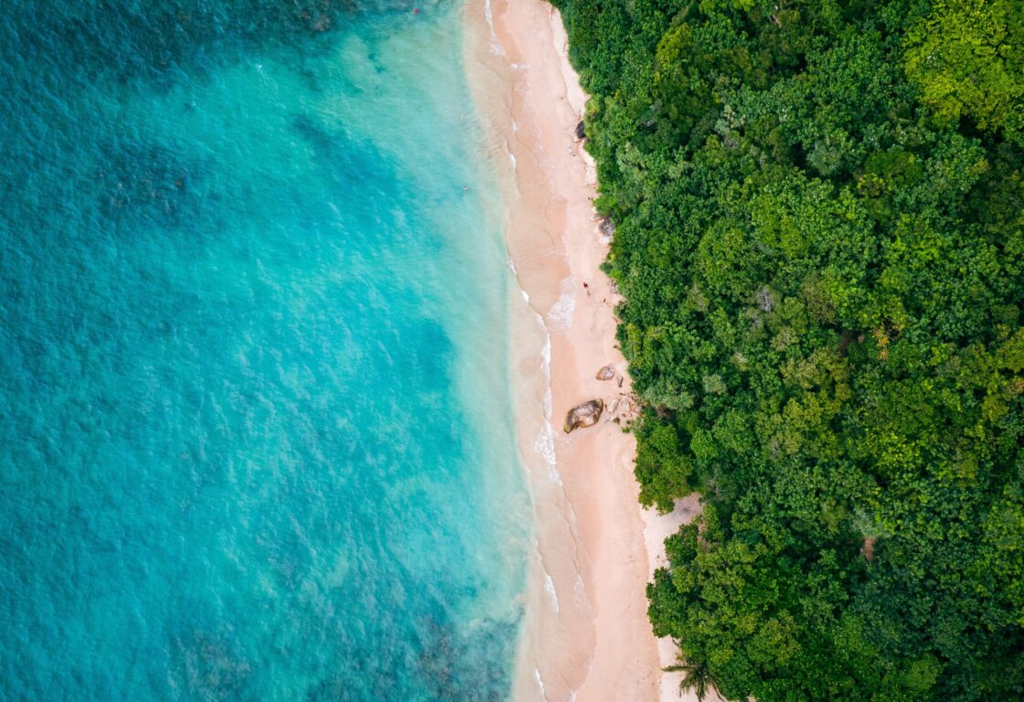 stunning aerial beach shot of the beach, ocean and palm trees in Sri Lanka