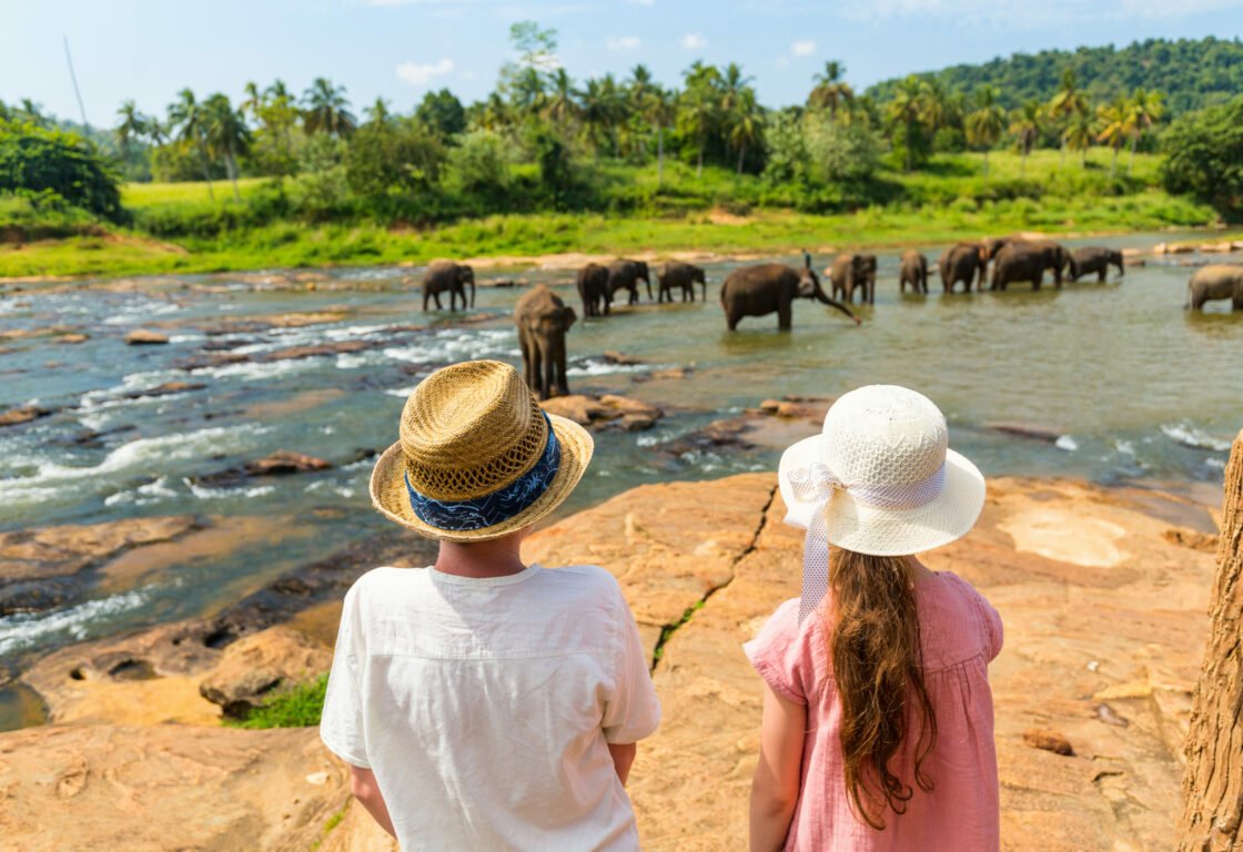 Kids watching Sri Lankan elephants at riverbed drinking water