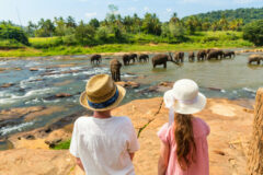 Kids watching Sri Lankan elephants at riverbed drinking water