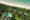 aerial view of a beach resort located in greenery but right on the beach a walking distance to the ocean