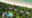 aerial view of a beach resort located in greenery but right on the beach a walking distance to the ocean