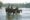 Three people ride horses through a river with lush greenery in the background.