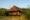 Rustic wooden cabin with a thatched roof, nestled among lush greenery under a clear blue sky. The warm sunlight casts a golden glow.