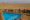 Small pool set within a wooden decked terrace. In the background is the backdrop of the desert with sand stretching out for miles. There is a faint outline of mountains on the horizon.