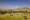 Kenya green countryside with three tents spaced out amongst small bushes