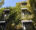 view of a building with one side that is one story higher and there are two windows on one side and three on the other and they all have white awnings above them and black railings along the bottom and the entire building is covered with green leaves