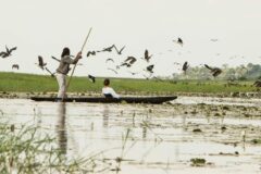 mokoro boat ride on the river with one lady in the boat and one safari guide with many birds flying around
