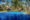 Very blue pool set in an irregular shape, surrounded by grass, palm trees and half a dozen square bungalows with sloping roofs.