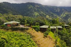 an aerial view of a lodge property located within rainforest and hills