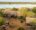 aerial view of Selous Impala Camp featuring the main camp with small properties / tents around it, river in the background, green bush