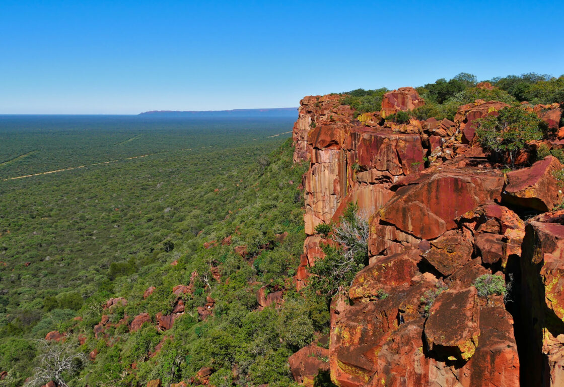 the Waterberg Plateau in namibia on the right hand side a ridge of red coloured rocks and the rest of the image is a wide panoramic view of vegetation