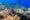 underwater coral reefs at Balicasag island with multicoloured fish swimming around