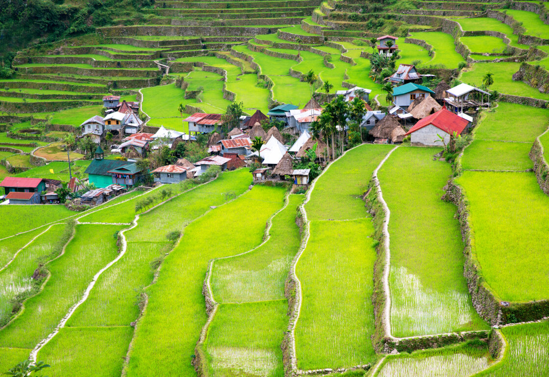 green rice terraces in banaue philippines stagger at different heights and in the middle a cluster of small houses creates a small village in the terraces