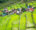 green rice terraces in banaue philippines stagger at different heights and in the middle a cluster of small houses creates a small village in the terraces